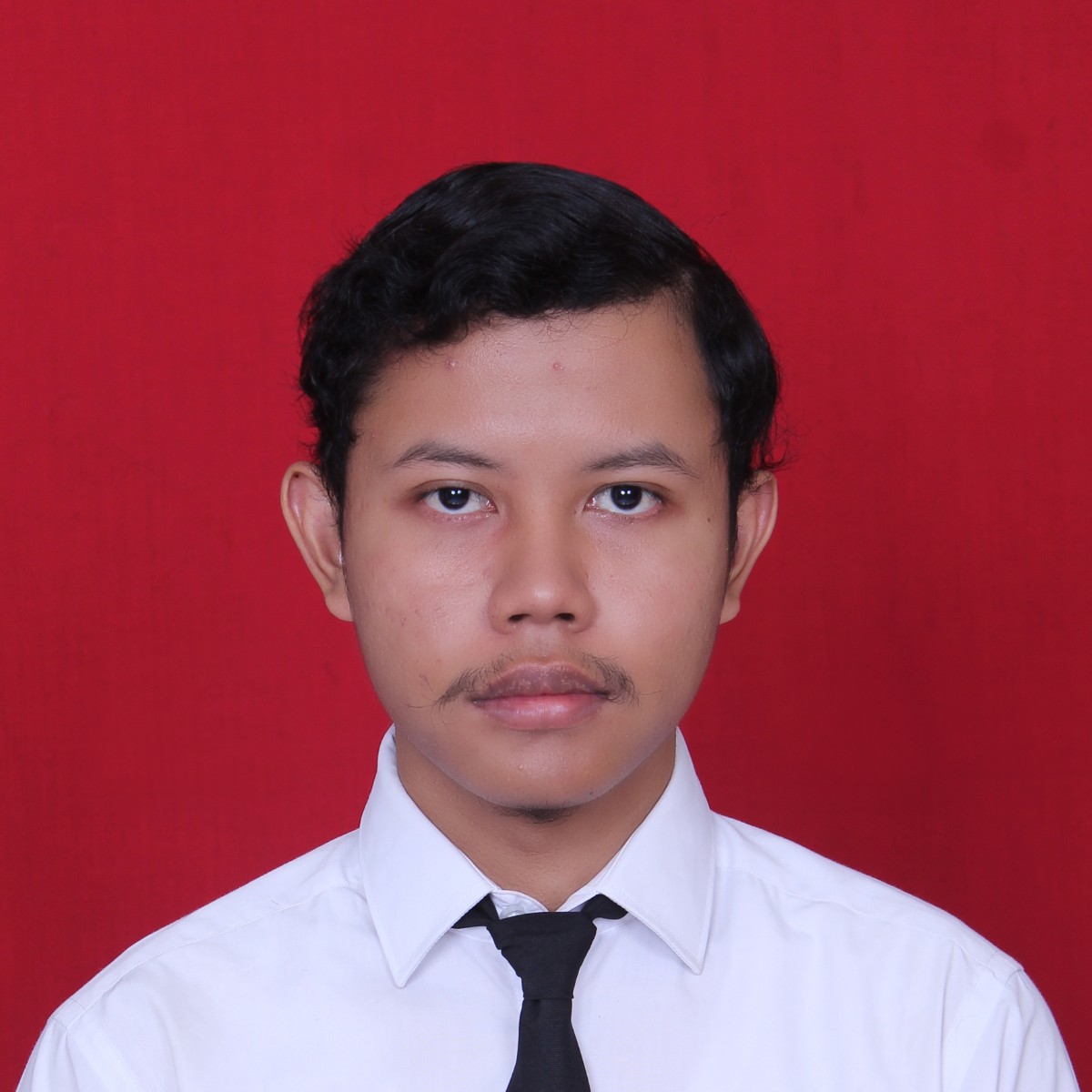 Veri Anggoro Wijayanto